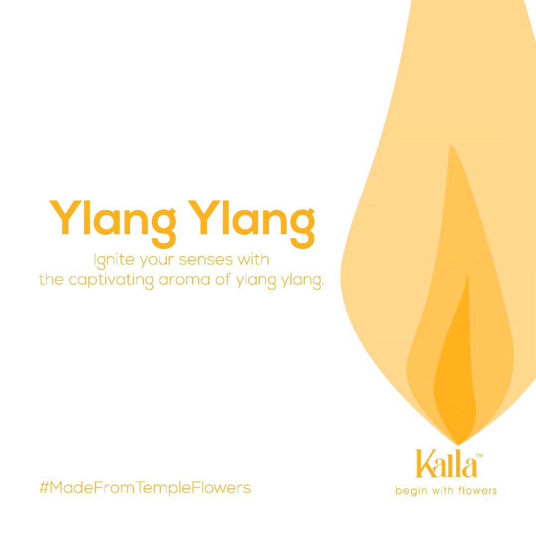 Candle - Radiant Ylang Ylang 2
