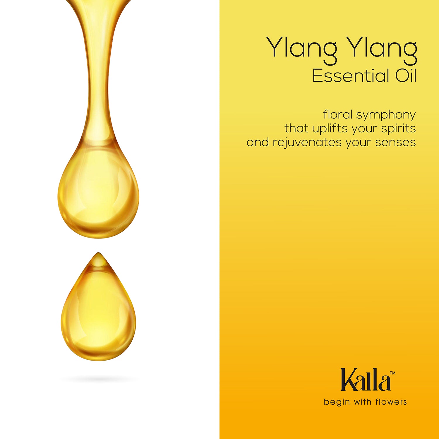 Essential Oil - Ylang Ylang 2